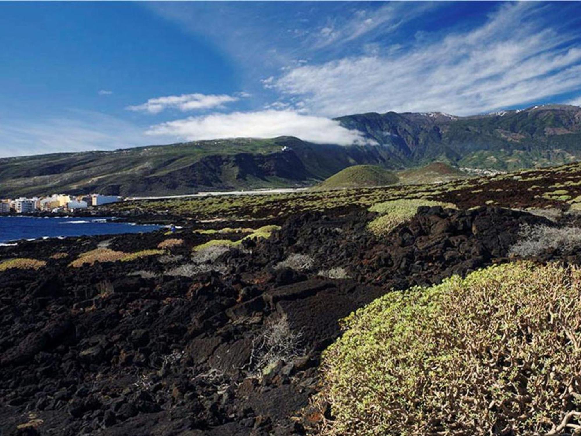 Live Puertito Paseo Leilighet Puertito de Guimar Eksteriør bilde